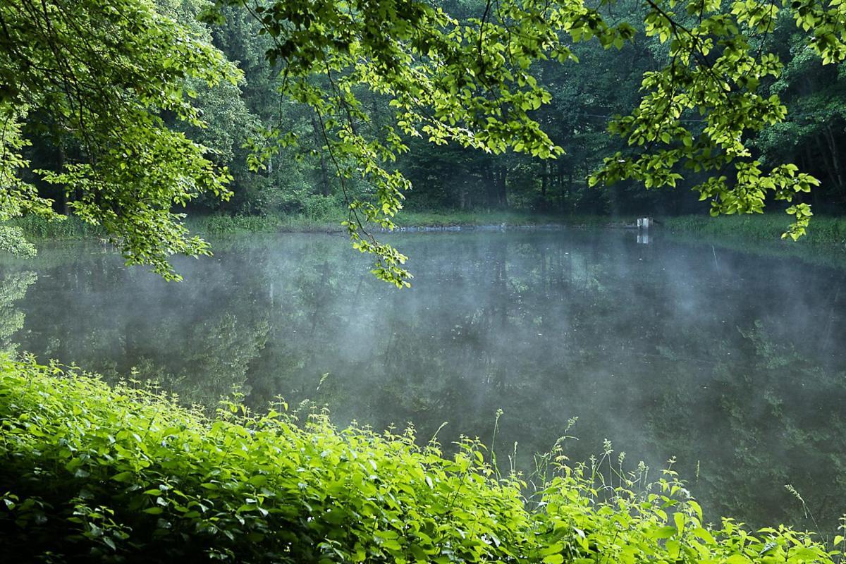 Landgasthof Hieren Muehle Ney Eksteriør bilde